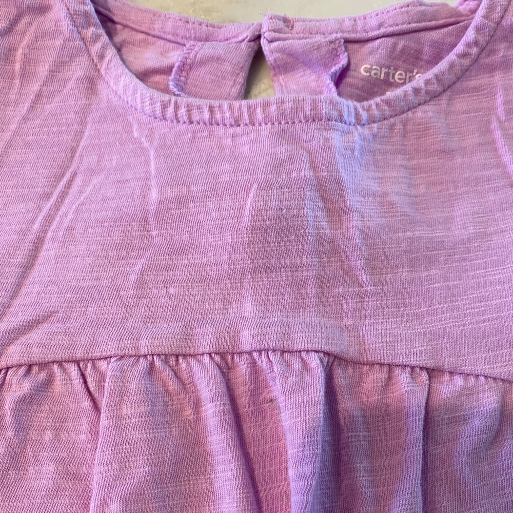 Bundle of 5T tees: hedgehog, purple ruffle - Picture 4 of 5